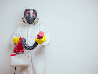 About Ant Control Northwood - ant control experts in Northwood